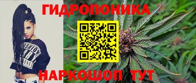 mdma Аргун